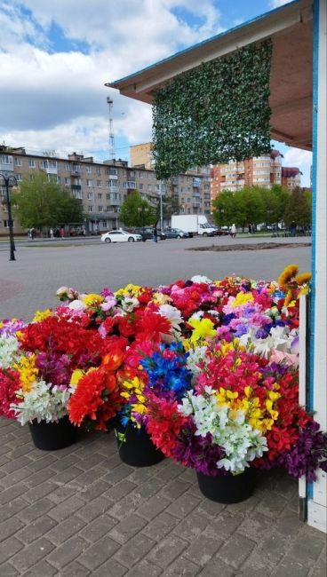 Никакой весны и радости Серпухову!  Буквально 1 мая Сергей Никитенко трогательно сообщил: «Весной наш..