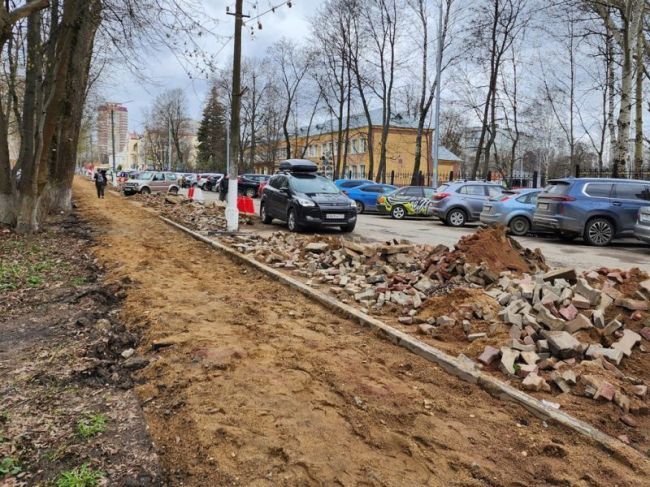 Утраченные из-за расширения дороги в Пушкино деревья компенсируют новыми  Жители подмосковного Пушкино..