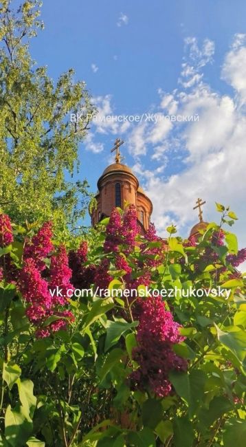 Чувствуйте вкус к жизни. Обращайте внимание на мелкие радости, на хорошие новости, удивляйтесь тому, как..