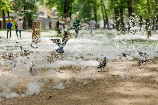 🌳 Тополиный пух...
Тополиная метель ожидается в Московском регионе 
через несколько дней.  🌤Теплая и сухая..