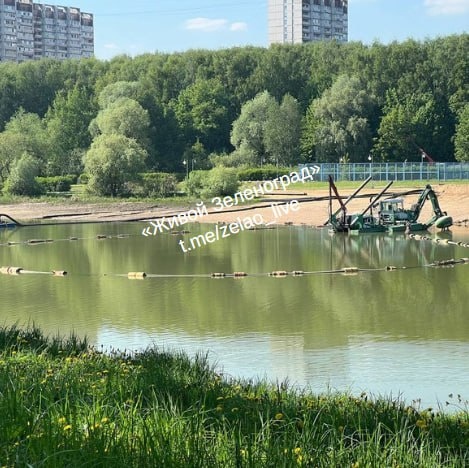 🏞 Очистка Школьного озера идёт полным ходом.  Это выглядит немного пугающе.🙄  Живой..