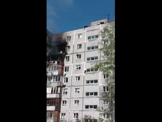 🚨🚨🚨 Причиной большого пожара в Колычеве мог стать брошенный окурок 
Стали известны подробности..