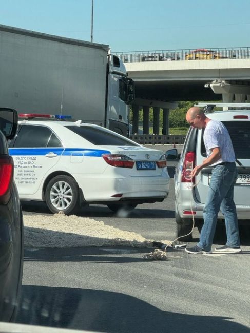 😢Сбили лося на МКАДе  Напротив микрорайона 6а, Реутов  😊 Балашиха...