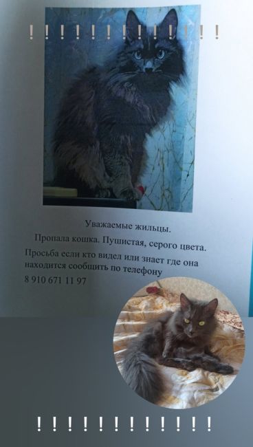 !!!!!ПОМОГИТЕ!!!!! 
Здравствуйте, люди добрые 
Помогите пожалуйста найти кошку
16 мая в неизвестное время, попала..