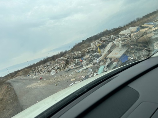 На севере Москвы в лесополосе нехорошие люди скинули строительный мусор. Проехать сложно, птицы разносят..