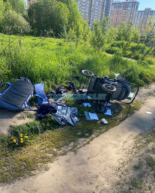 Украли коляску, выпотрошили все на поле . 
Что они хотели найти в ней..