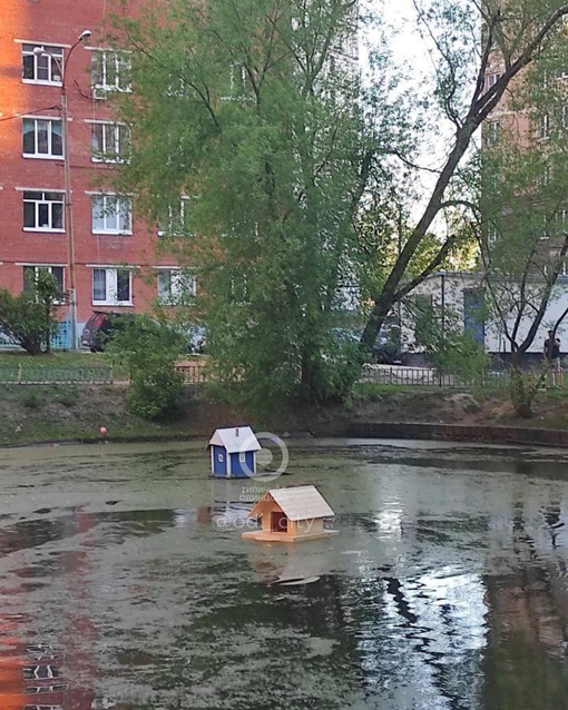 На историческом пруду на Садовой улице вчера вечером жители поставили домики, а сегодня с утра в них уже..