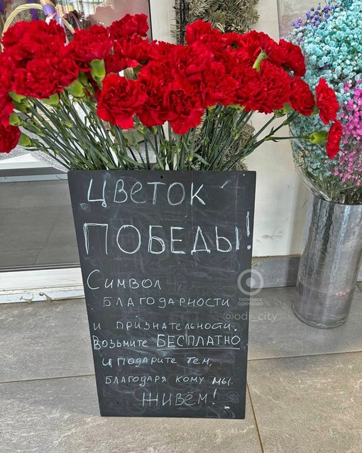 В ТЦ "Вестор" владельцы цветочного магазина решили провести вот такую добрую, а самое главное — бесплатную..