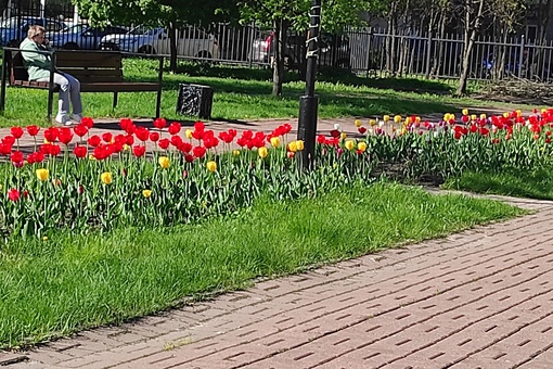 Красота в Детском парке..