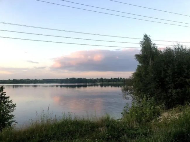 Доброе утро, дорогие подписчики!
Всем хорошего, теплого..