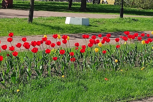 Красота в Детском парке..