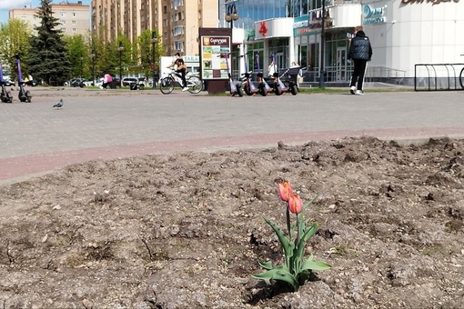 Никакой весны и радости Серпухову!  Буквально 1 мая Сергей Никитенко трогательно сообщил: «Весной наш..