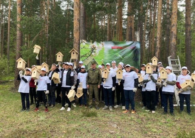 День птиц в Электрогорске: новые домики для пернатых  Местные активисты при участии компании “Ультрадекор”..