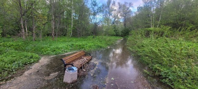 😕В деревне Гаврилково активно застраивают коттеджный посёлок близко к руслу реки Сходня.  Само русло..