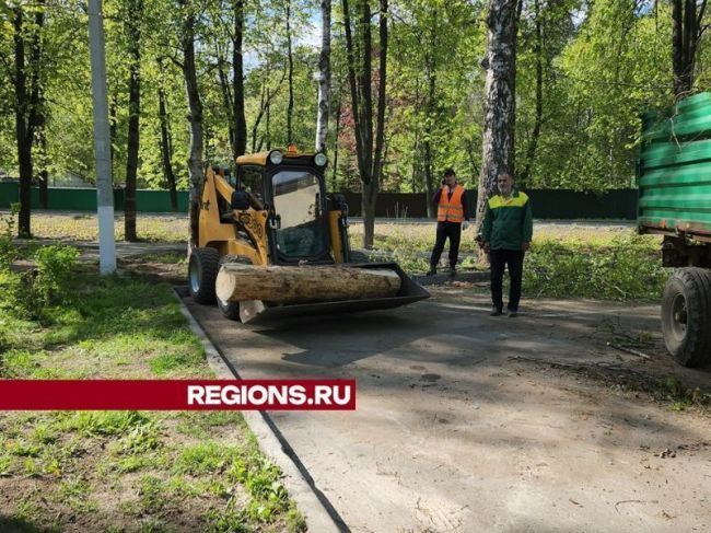 Сухостойные деревья удалили на западной стороне города Пушкино  Коммунальные службы подмосковного Пушкино..