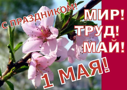 💐 1 Мая, в России отмечается Праздник Весны и Труда! 
🎈Многие долгопрудненцы помнят веселые, шумные..