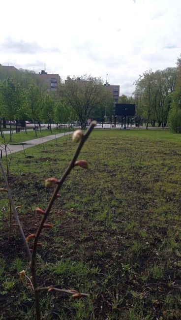 Доброго дня, жители Долгопрудного. Изначально был длинный текст, но оставим просто фотографии. Подкиньте..