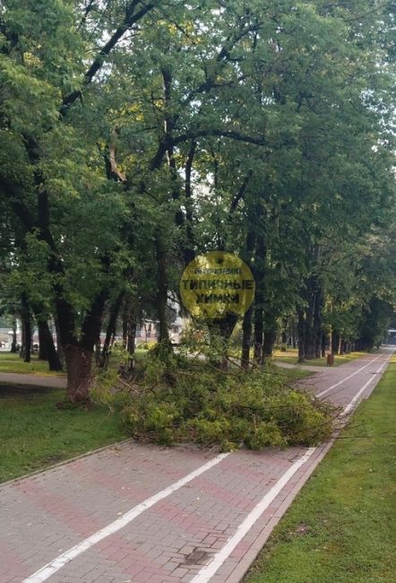А вот, вероятно, последствия [https://vk.com/wall-34882023_1728509|ночного удара молнии] по скверу «Юбилейный» ⚡️
Попадание..