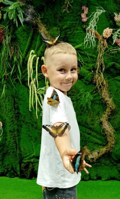 🌿 [club77606352|Чудеса тропиков и живые бабочки] проводит розыгрыш! 
🦋 20 билетов на посещение выставки Живых..