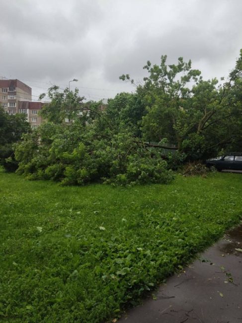 Последствия непогоды в 18 микрорайоне  У многих ли людей пострадали автомобили из-за..