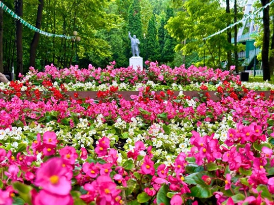 В этом году в парках Красногорска высадили много цветов. Проявляйте бережное отношение – не рвите и не..