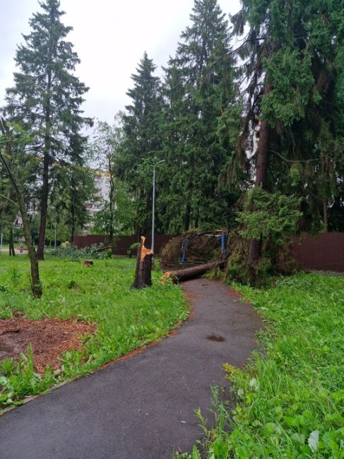 😱В Андреевке из-за непогоды затопило дороги, были оборваны провода, а также упали..