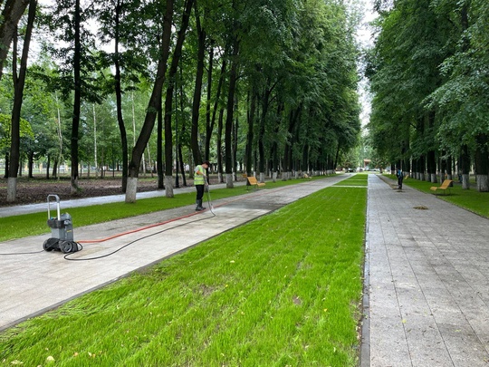 🌳 В Коломне продолжается масштабная реконструкция парка Мира. В настоящее время на территории идут работы..