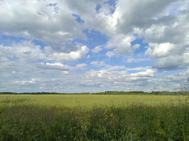 Хорошего вечера, Богородский🔥
Красота у нас,..