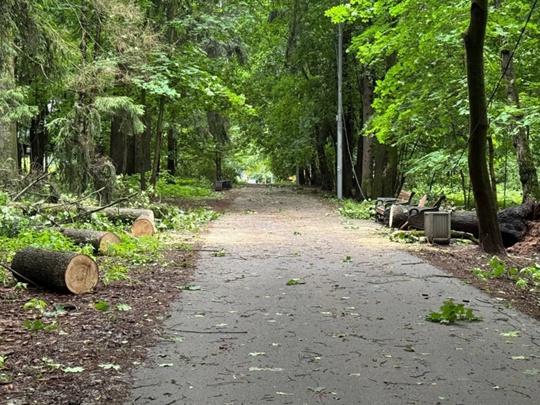 🌳Последствия сильного шторма в 9-м..