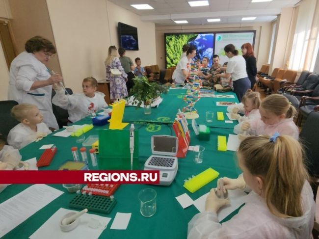 Дети из Пушкино попробовали себя в роли лесных генетиков  Ученики младших классов из детского лагеря..