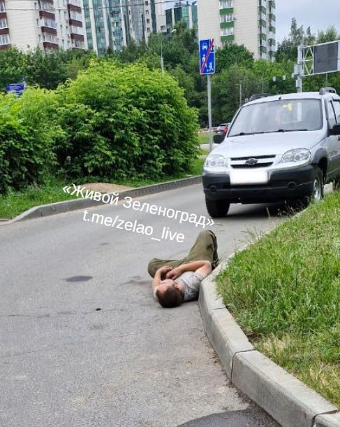 🤨Лежал на земле, живой, и покачивался из стороны в сторону. На наше предложение о помощи он не ответил,..