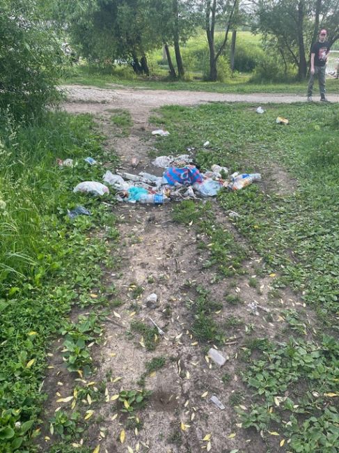Просьба вывезти мусор из парковой зоны напротив дома Борисовка..