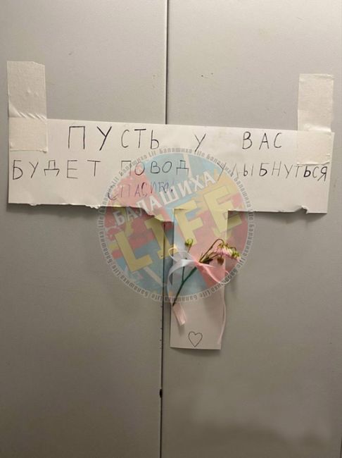 Немного милоты с утра. Доброе утро, Балашиха!..
