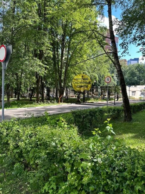 У администрации на Московской 15 появился необычный зеркальный забор 😯  Около месяца назад все гадали, что..