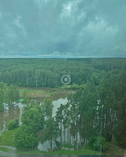 В Подушкинском лесу около улицы Говорова образовалось настоящее природное озеро..