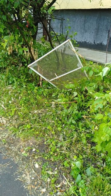 Последствия непогоды в Подольске. Из некоторых окон повылетали москитные сетки. Революции..