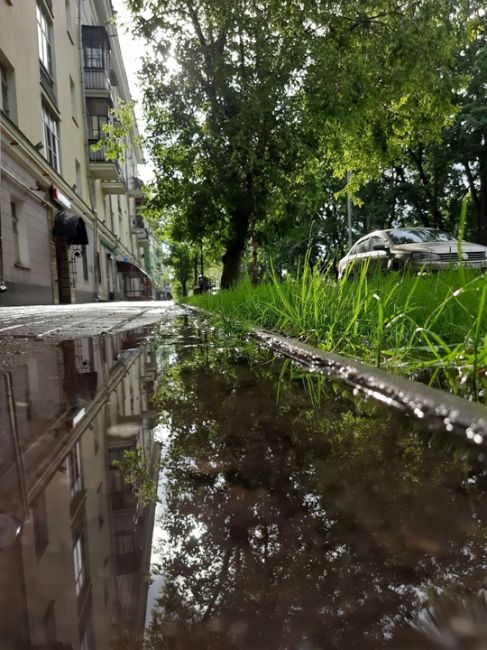 ЛЕТНИЙ ДОЖДЬ 🌧 
Балашиха-1. 
Там ещё и солнце - кое-кто даже радугу поймал..