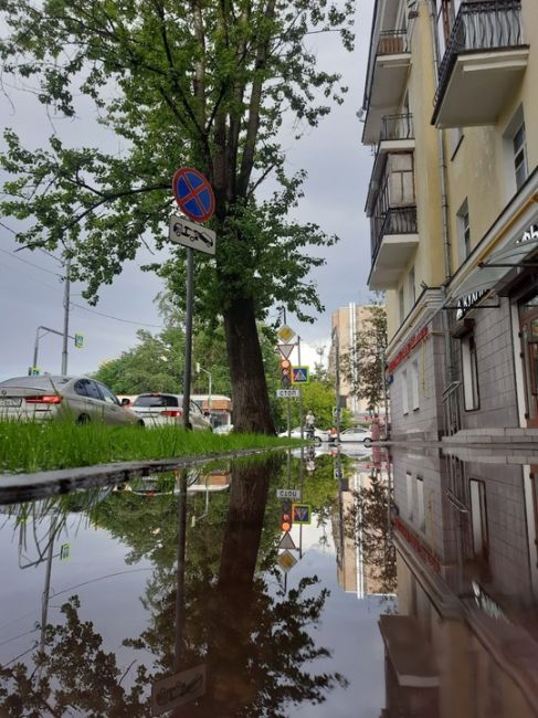 ЛЕТНИЙ ДОЖДЬ 🌧 
Балашиха-1. 
Там ещё и солнце - кое-кто даже радугу поймал..