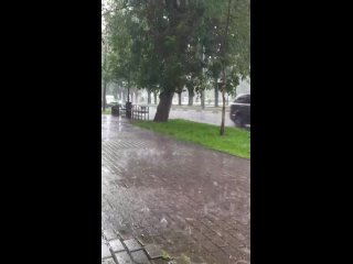 ЛЕТНИЙ ДОЖДЬ 🌧 
Балашиха-1. 
Там ещё и солнце - кое-кто даже радугу поймал..