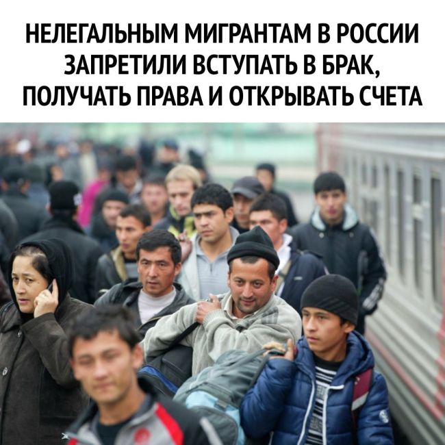 🙅‍♂️ Нелегальным мигрантам в России запретили вступать в брак, открывать счета и получать водительские..