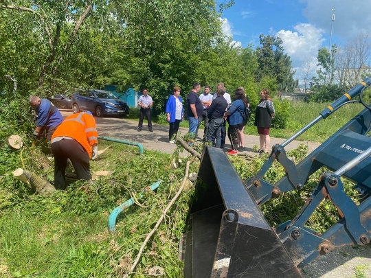 👷‍♂ Больше 60 поваленных деревьев ликвидировали сотрудники ДГХ 
Рабочие Департамента городского..