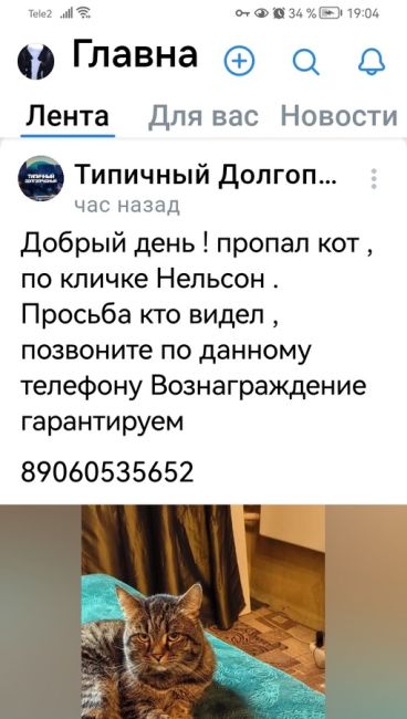 На улице Заводская дом 9 нашли котика. Очень ласковый, видно, что домашний. Хозяин..