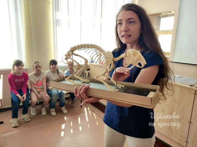 Более 6000 школьников из Щелково присоединились к проекту «Умные каникулы»  «Ребята посещают..