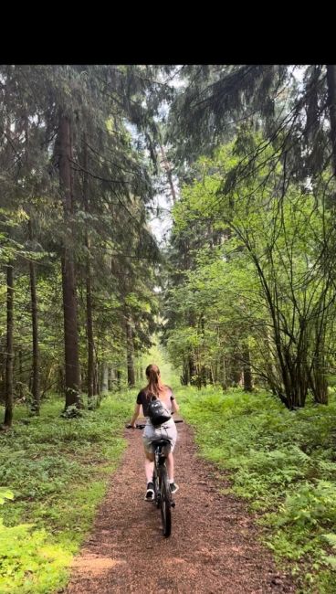 Национальный парк Лосиный остров в Мытищах🦌🌳 
Возвращаться в город всегда неохота. Зелёный оазис в пару км..