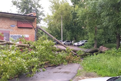 Упало дерево на провода уличного освещения  и сломало две опоры. ул. Гражданская. Похоже частично дереву..