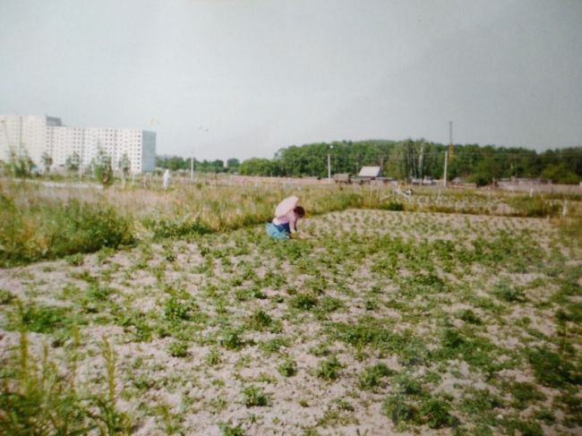 СТАРАЯ БАЛАШИХА
10 июня 1996 года. Поле..