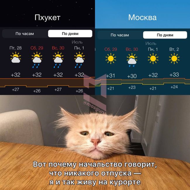 Городские службы Москвы переведены в режим повышенной готовности из-за жары. 
С 28 июня будет +30..