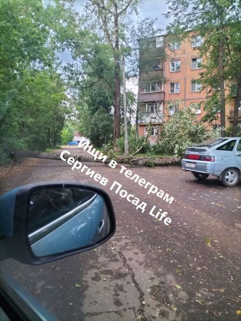 На Вознесенской 90 упало дерево, оборвало..