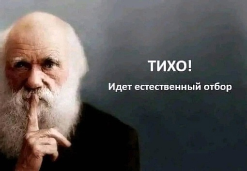 Столько зацеперов уже погибло, что мы устали считать  +1 еще один закончил свою жизнь на крыше электрички у..