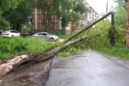 Упало дерево на провода уличного освещения  и сломало две опоры. ул. Гражданская. Похоже частично дереву..